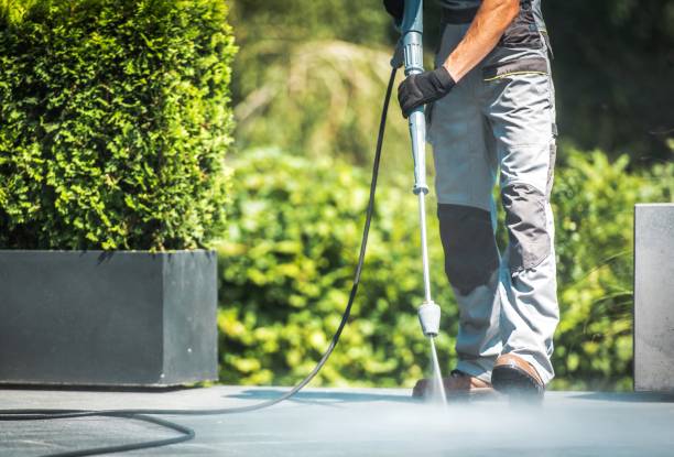 Best Driveway Pressure Washing  in Falls City, OR