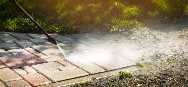 Animal Enclosure Cleaning in Falls City, OR